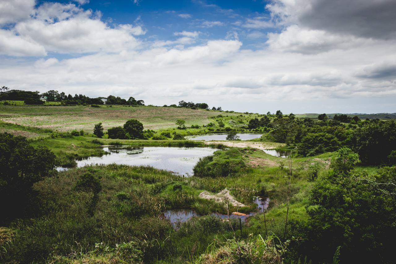 Oribi Gorge Guest Farm Ξενοδοχείο Glendale Εξωτερικό φωτογραφία